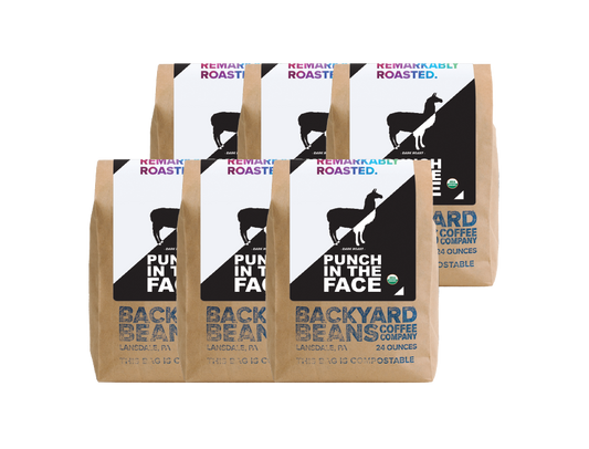 Punch in the Face 24 oz - Case of 6